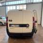 Fiat Doblo 1.6mjt 105cv FRIGO Anno 2022 Bianco - thumbnail 3