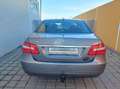 Mercedes-Benz E 220 Avantgarde BlueEfficiency CDI Sofort Kredit Grau - thumbnail 5