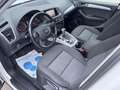 Audi Q5 2,0 TDI quattro S-tronic Weiß - thumbnail 5