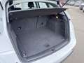 Audi Q5 2,0 TDI quattro S-tronic Weiß - thumbnail 7