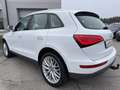 Audi Q5 2,0 TDI quattro S-tronic Weiß - thumbnail 3