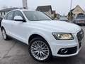 Audi Q5 2,0 TDI quattro S-tronic Weiß - thumbnail 1