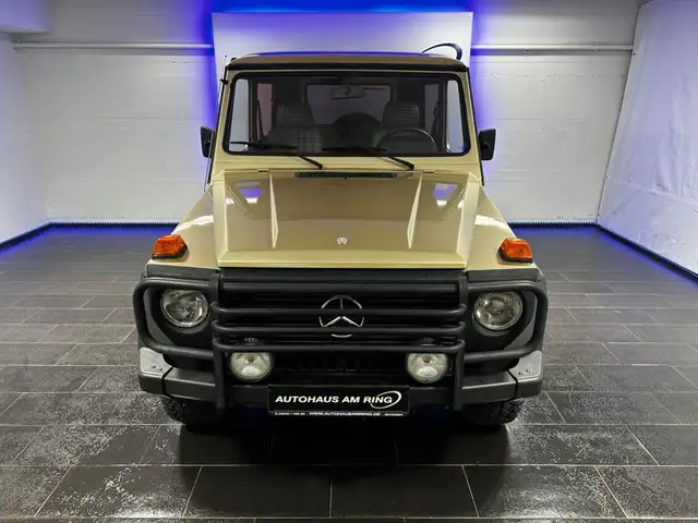 Mercedes-Benz G 300 DE-AUTO 79TKM AHK STNDHZG ALU