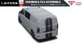 Ford CABINE APPROFONDIE 320 L2H1 2.0 ECOBLUE 170 CH BVA Gri - thumbnail 3