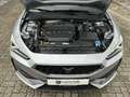 CUPRA Leon Cupra ST 2.0 TSI DSG*AHK*NAVI*LED*SH* srebrna - thumbnail 4