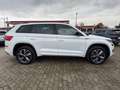 Skoda Kodiaq Sportline 4x4/DSG/7SITZ/AHK/ACC/KAMERA/ Weiß - thumbnail 5