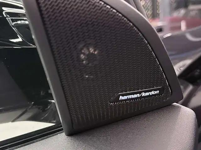 BMW X3 M50 Aut., Innovations & Premium Paket, 8-fach Ansicht 21