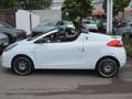 Renault Wind Dynamique Bianco - thumbnail 10