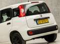 Fiat Panda 0.9 TwinAir Design (5 DEURS, AIRCO, SPORTSTOELEN, Wit - thumbnail 11
