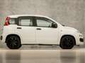 Fiat Panda 0.9 TwinAir Design (5 DEURS, AIRCO, SPORTSTOELEN, Wit - thumbnail 4