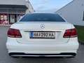 Mercedes-Benz E 350 4MATIC *E 63 AMG look* BRABUS Sportabgasanlage Weiß - thumbnail 7