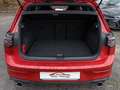Volkswagen Golf VIII 2.0 TSI DSG GTI BlackStyle Panorama Matrix Rot - thumbnail 15