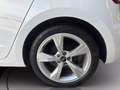 Audi A1 sportback 25 1.0 tfsi admired my20 Bianco - thumbnail 13