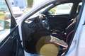 Skoda Kamiq 1.5 TSI Monte Carlo*DSG*Navi*Pano* Blanc - thumbnail 10