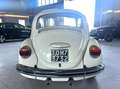 Volkswagen Maggiolino Maggiolino 1.2 L Bianco - thumbnail 5