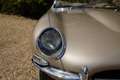 Jaguar E-Type Series 1 Roadster Flat-Floor "Outside bonnet lock" Goud - thumbnail 48
