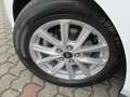 Ford Focus Turnier Cool & Connect AHK Blanc - thumbnail 6