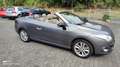 Renault Megane Luxe - thumbnail 2