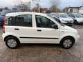 Fiat Panda 1.1 8V Active*KLIMA*HU/AU 01/2027* Weiß - thumbnail 5