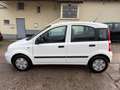 Fiat Panda 1.1 8V Active*KLIMA*HU/AU 01/2027* Weiß - thumbnail 8