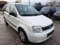 Fiat Panda 1.1 8V Active*KLIMA*HU/AU 01/2027* Weiß - thumbnail 3