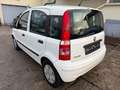 Fiat Panda 1.1 8V Active*KLIMA*HU/AU 01/2027* Weiß - thumbnail 7
