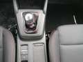 Ford Focus Turnier ST-Line *SHZ*ACC*LM Weiß - thumbnail 15