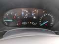 Ford Focus Turnier ST-Line *SHZ*ACC*LM Weiß - thumbnail 10