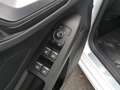 Ford Focus Turnier ST-Line *SHZ*ACC*LM Weiß - thumbnail 7