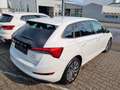 Skoda Scala Tour Blanc - thumbnail 3