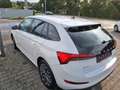 Skoda Scala Tour Blanc - thumbnail 5