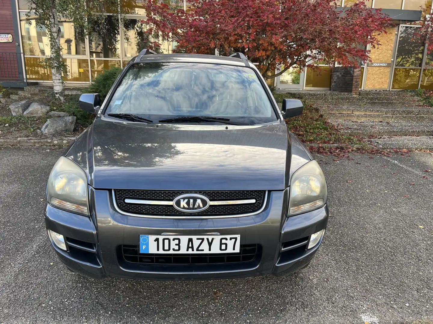 Kia Sportage Sportage 2.0 CRDI 140 4x4 FAP Executive - 2
