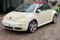 Volkswagen New Beetle 1.9 TDI 105CV Cabrio Lim. Red Edt. - thumbnail 1