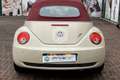 Volkswagen New Beetle 1.9 TDI 105CV Cabrio Lim. Red Edt. - thumbnail 6