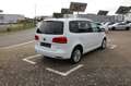 Volkswagen Touran 1.4 TSI Cup*KLIMA*STEUERKETTENSATZ NEU* Weiß - thumbnail 5
