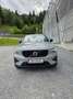 Volvo XC40 B3 Plus Dark Aut. Grau - thumbnail 5