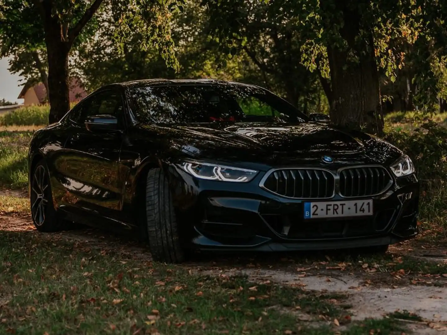 BMW M850 M850i xDrive Blauw - 1