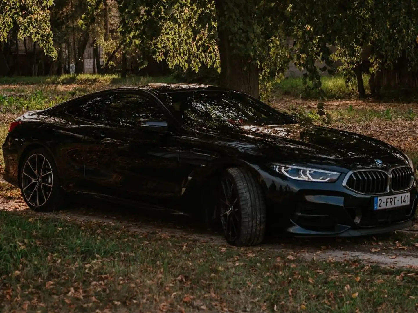 BMW M850 M850i xDrive Blauw - 2
