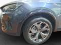 CUPRA Formentor 2.0 TDI 150PS DSG *LED*NAVI*SHZ*RFK* Gris - thumbnail 13