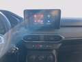Dacia Sandero Stepway 1.0 tce Comfort Eco-g 100cv Bianco - thumbnail 14