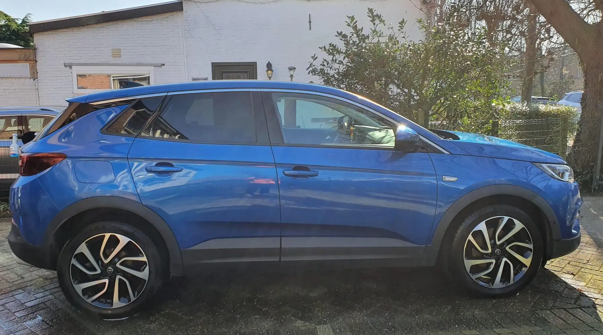 Opel Grandland X Grandland X 1.6 D Start/Stop Business Edition Albastru - 1