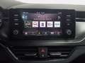 Skoda Kamiq 1.0 tsi monte carlo 110cv dsg Grau - thumbnail 13