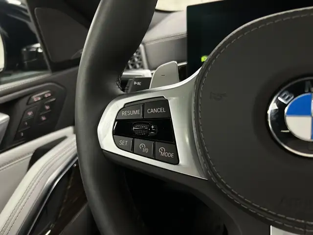 BMW X6 view 28