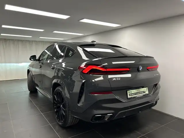 BMW X6 view 10