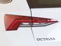 Skoda Octavia Combi 2.0 TSI RS DSG 180kW Bianco - thumbnail 11