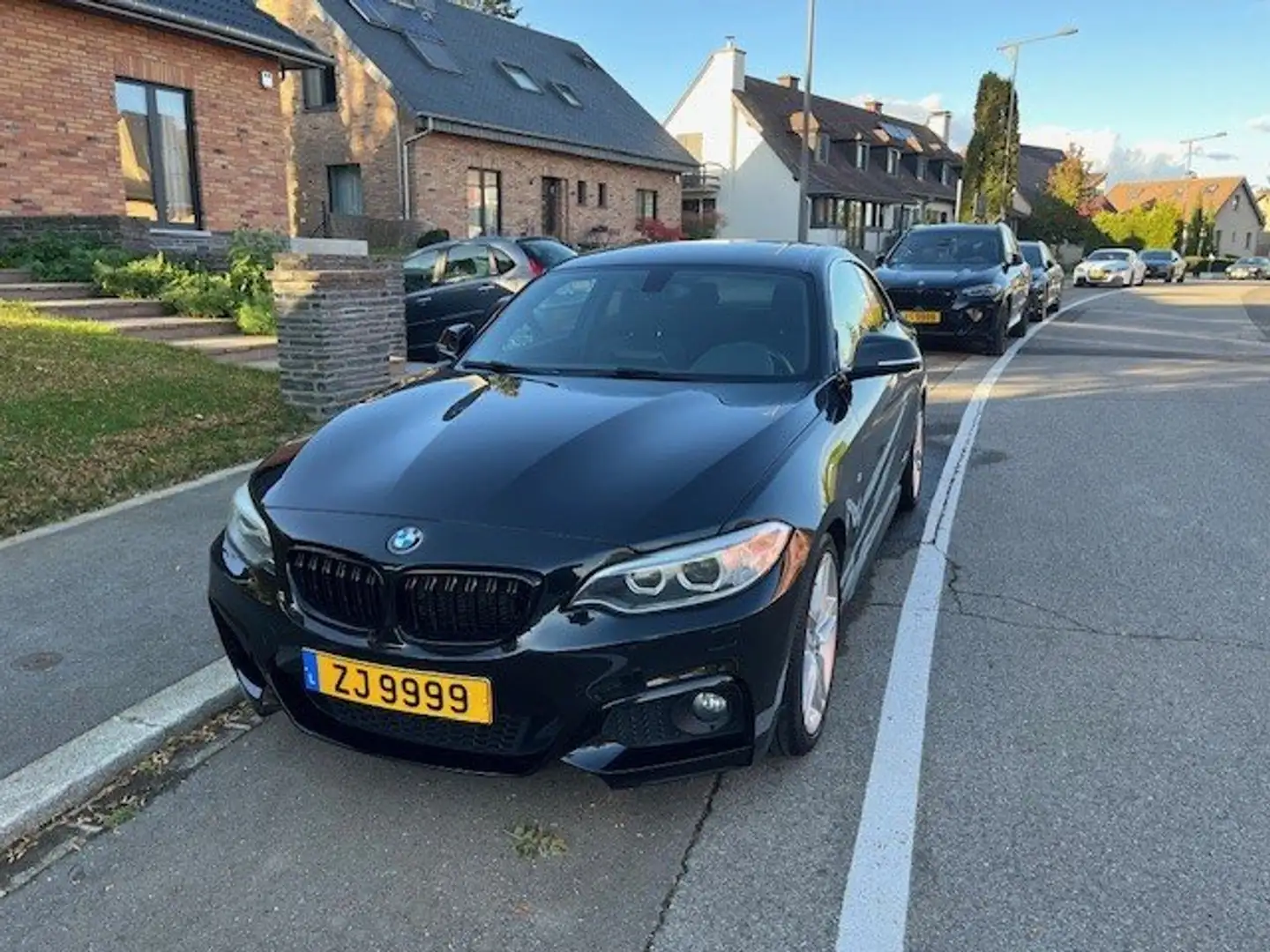BMW 220 220d Coupe - 1