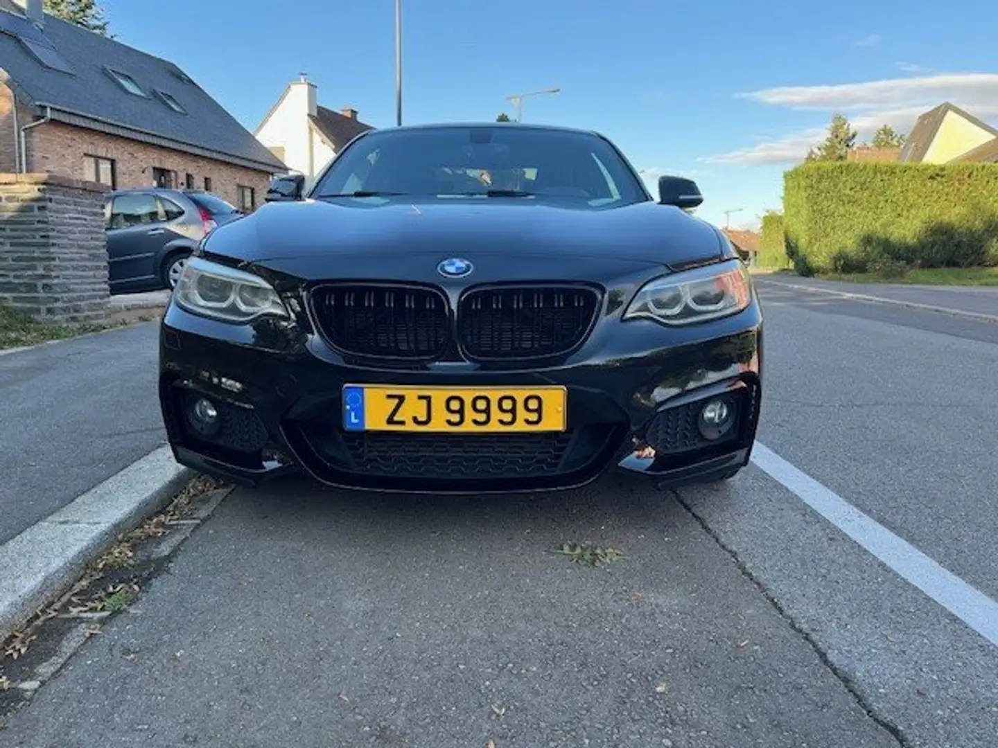 BMW 220 220d Coupe - 2