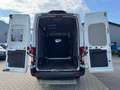 Ford Transit Kasten 350 L2H3/Fenster/Webasto/Kamera+ Blanc - thumbnail 5