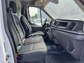 Ford Transit Kasten 350 L2H3/Fenster/Webasto/Kamera+ Blanc - thumbnail 10