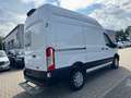 Ford Transit Kasten 350 L2H3/Fenster/Webasto/Kamera+ Blanc - thumbnail 6